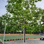 Pocitniska Hisa Parkfield Dragovan Apartman Metlika