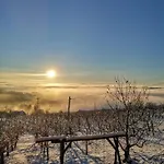 Pocitniska Hisa Parkfield Dragovan Metlika