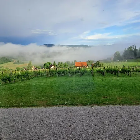 Pocitniska Hisa Parkfield Dragovan * Metlika