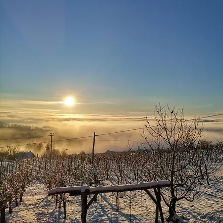 Pocitniska Hisa Parkfield Dragovan متليكا