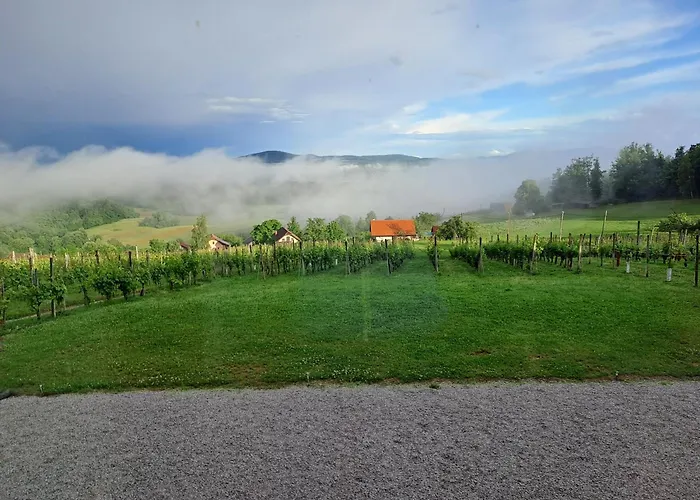 Pocitniska Hisa Parkfield Dragovan * Metlika