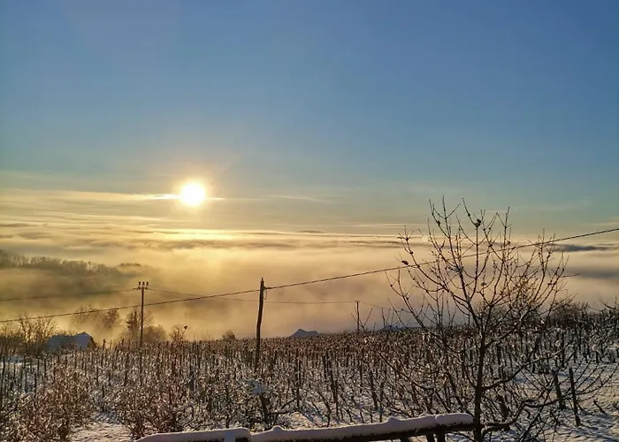 Pocitniska Hisa Parkfield Dragovan Metlika